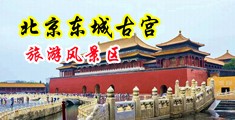BB久久性爱中国北京-东城古宫旅游风景区